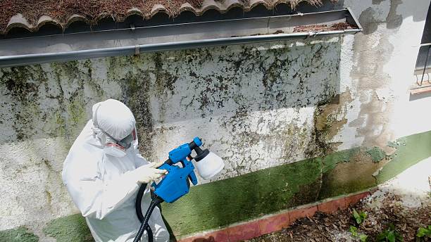 Top rated local Mold Removal specialists in Haskell, NJ